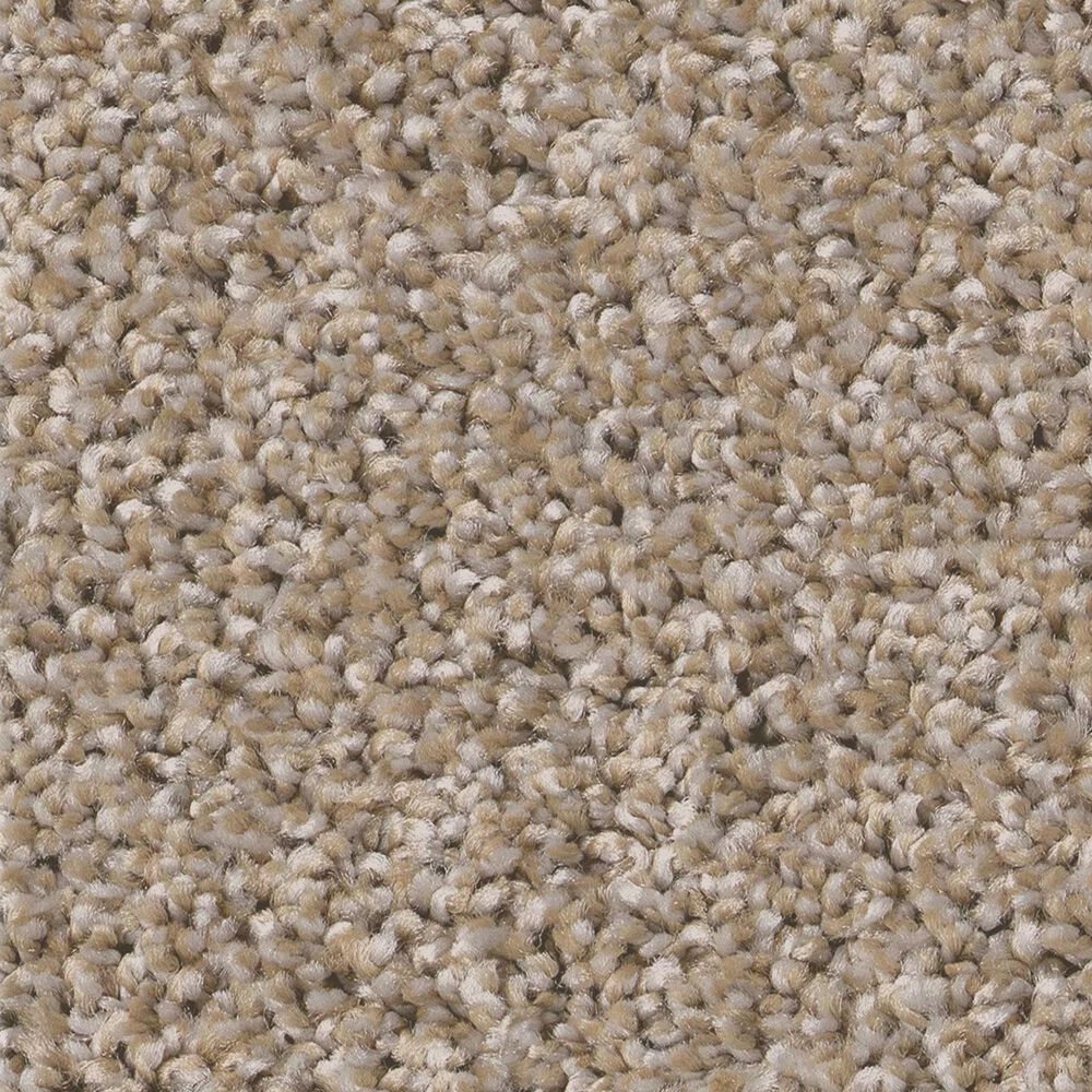 Shaw Pet Perfect Bold Move Carpet in Camel, , large