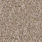 Shaw Pet Perfect Bold Move Carpet in Camel, , large