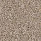 Shaw Pet Perfect Bold Move Carpet in Camel, , large