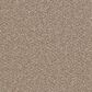 Dream Weaver Cape Cod Carpet in Acorn, , large