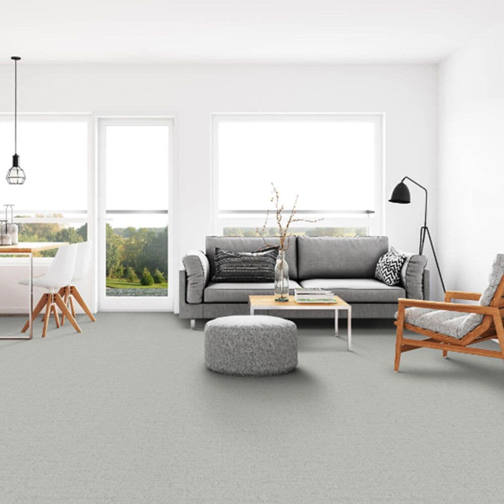 Dixie Home Genuine Carpet in Legitimate, , large