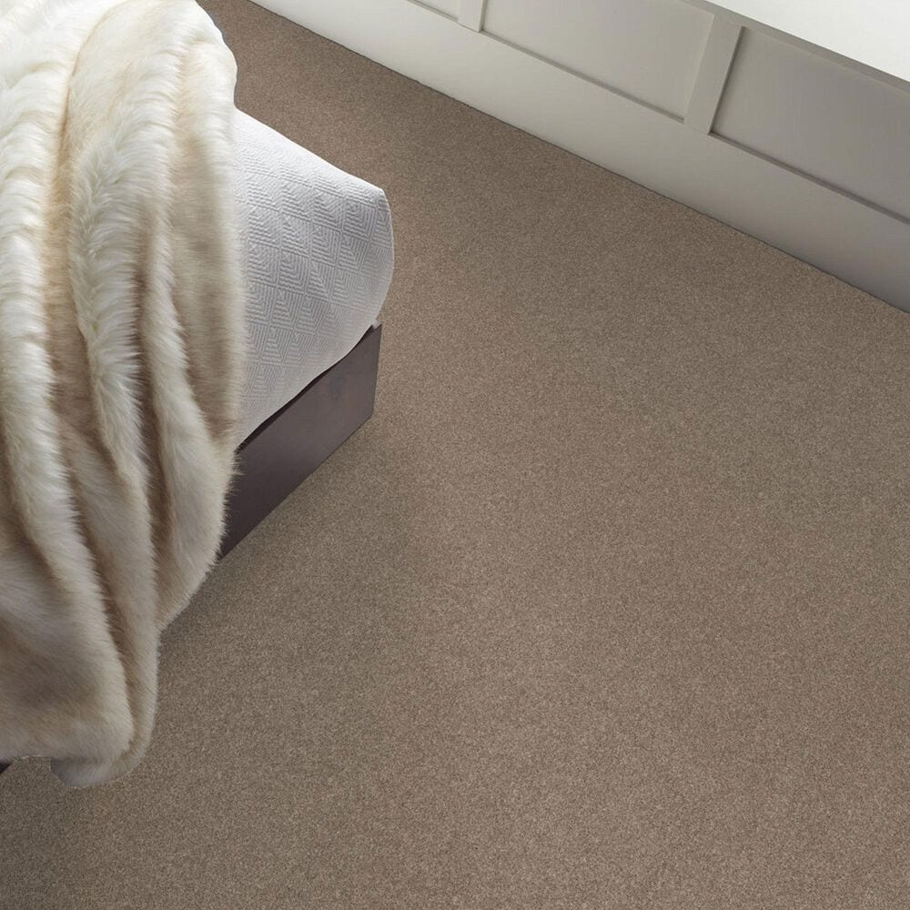 Shaw New Memories T Carpet in Stonecrest, , large