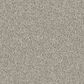 Godfrey-Hirst Candor Carpet in Harmony, , large