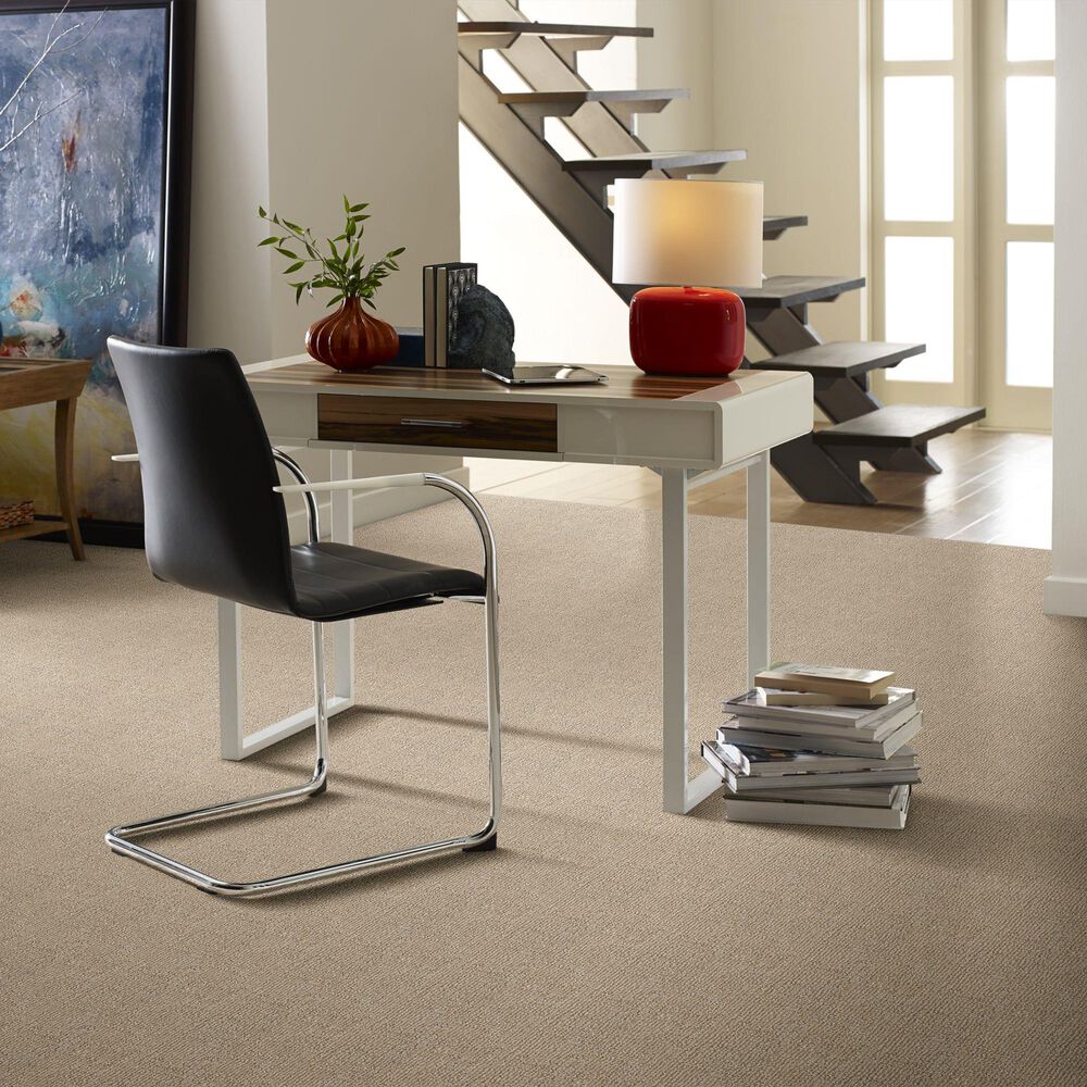 Anderson Tuftex Loredo Carpet in Coastal Home, , large