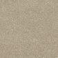 Dream Weaver Hollywood Carpet in Oyster Shell, , large