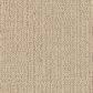 Fabrica Occasion Carpet in Merriment, , large