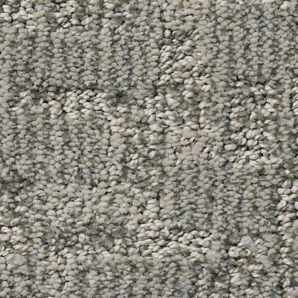 Anderson Tuftex Paw-Tay Carpet in Rockport, , large