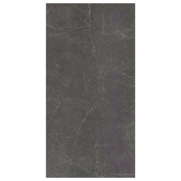 Emser Sterlina II Asphalt 24" x 47" Polished Porcelain Tile, , large