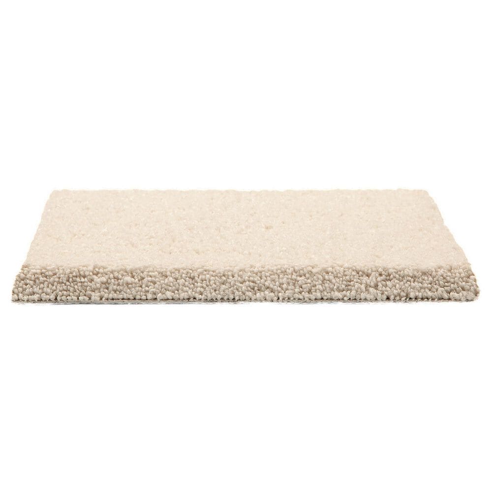 Mohawk Pleasant Touch Carpet in Romano, , large