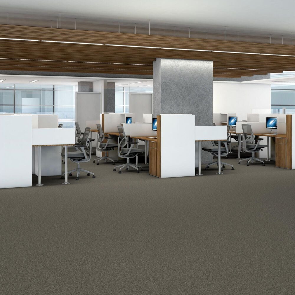 Shaw You Got This III Carpet in Rerooted Nature, , large