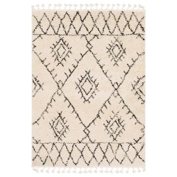 Surya Berber Shag BBE2305 6"7" x 9" Charcoal and Beige Area Rug, , large