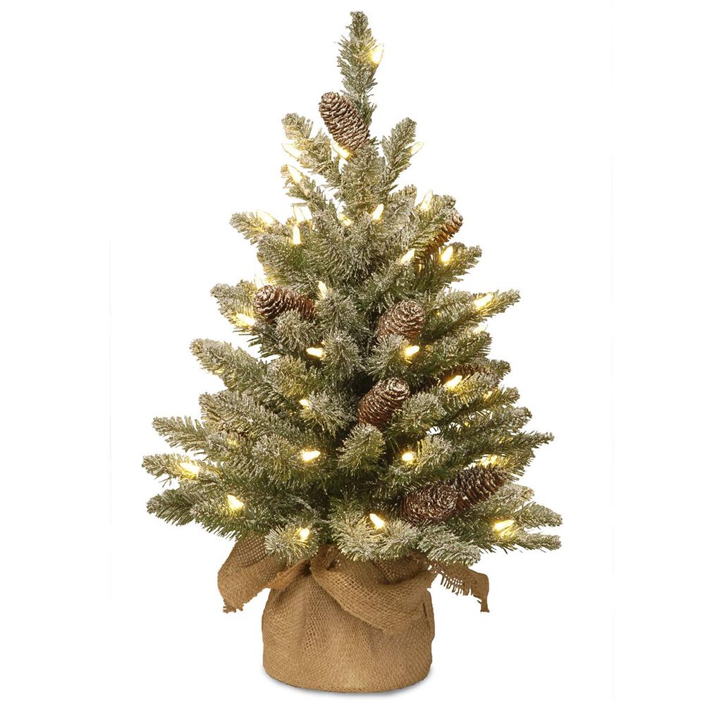 National Tree 2" Snowy Concolor Fir Tree with Battery Operated LED Lights, , large