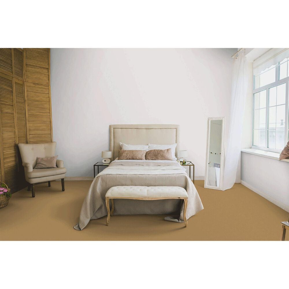 Dixie Home Gladys Carpet in Ochre, , large
