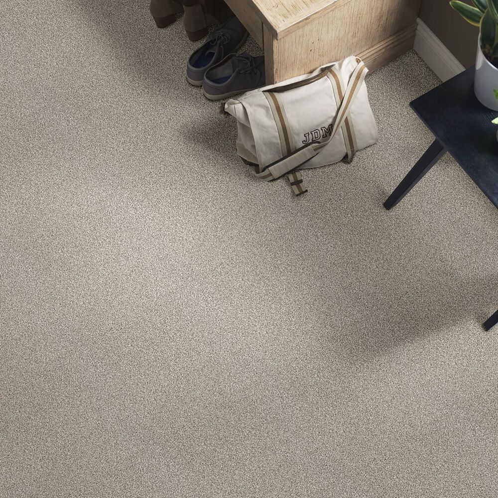 Shaw Find Your Comfort TT I Carpet in Back Patio, , large