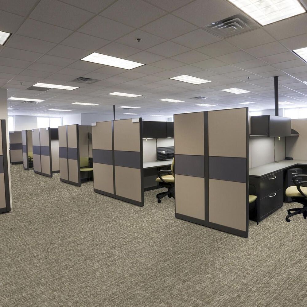 Shaw Crazy Smart 18&quot; x 36&quot; Carpet Tile in Ingenious, , large