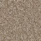 Shaw Imaginable II Carpet in Raw Wood, , large
