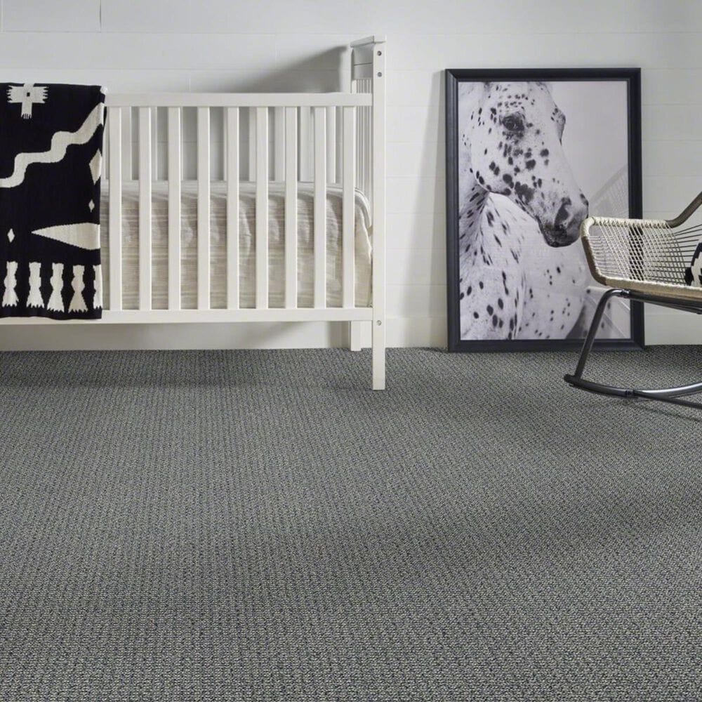 Anderson Tuftex Fetch Carpet in Downpour, , large
