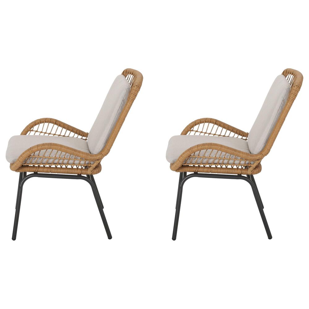 Hearth and Haven McCaskillOutdoor Rattan Club Chair with Iron Frame in Gray (Set of 2), , large
