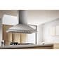 Elica Leone 42" Island Range Hood in Stainless Steel, , large