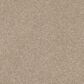 Philadelphia Basic Rules Carpet in Toast, , large
