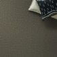 Shaw Home Within Carpet in Rerooted Nature, , large