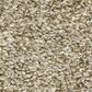 Shaw Just A Hint I Carpet in Khaki, , large