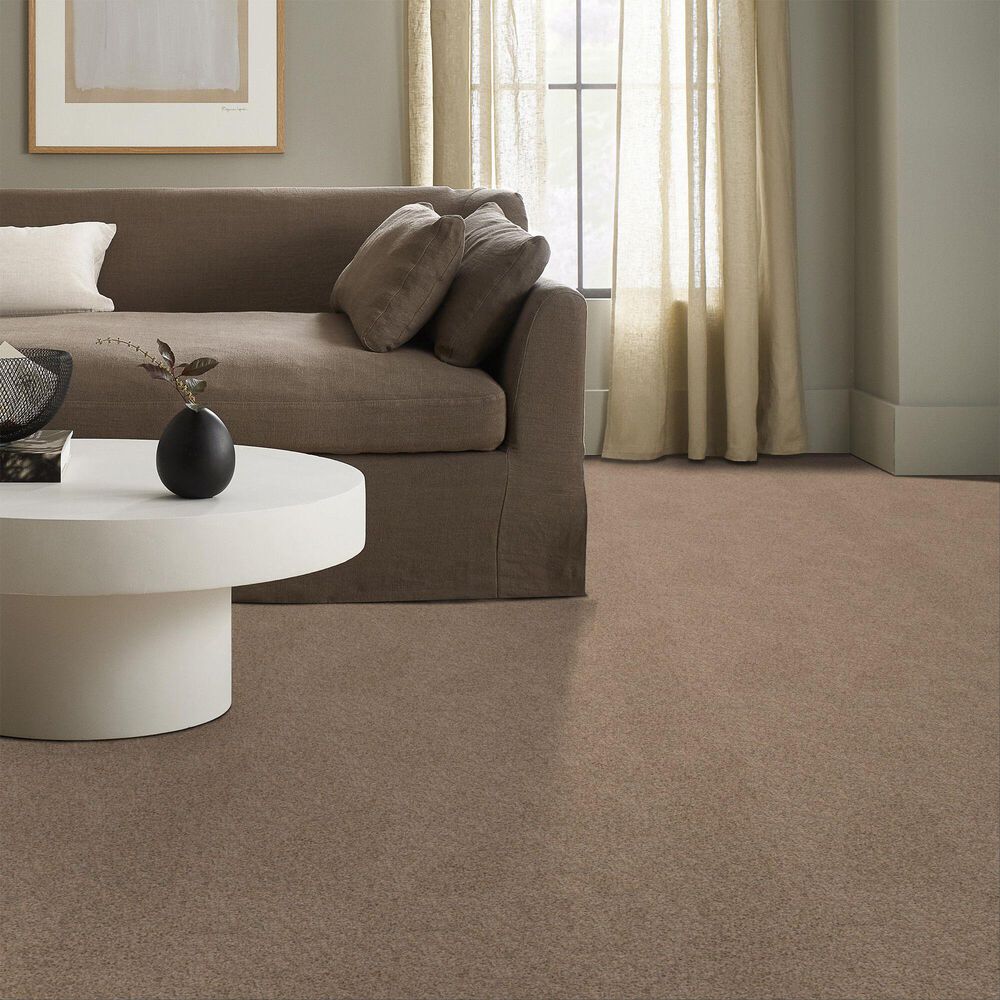 Anderson Tuftex West Peak Carpet in Basic Tan, , large