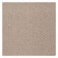 Shaw Latest Trend Carpet in Boulder, , large
