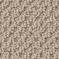 Anderson Tuftex Gracious Carpet in Barista, , large