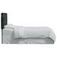 Rifle Paper Co Crafted by Cloth & Company Elly Full Headboard in Menagerie Black, , large