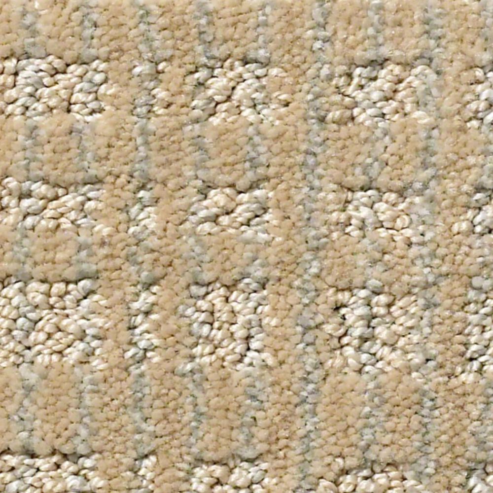 Anderson Tuftex Purrsuasion Carpet in Sunrise, , large
