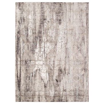 Amer Rugs Cambridge 2" x 3"3" Dove Gray Area Rug, , large