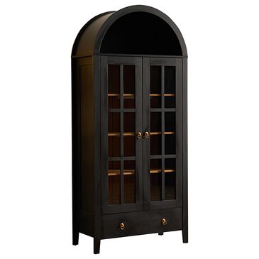HOMLUX Arched Storage Cabinet with LED Induction Lights in Black, , large
