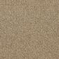 Dixie Home Gentle Wind Carpet in Seahorse, , large