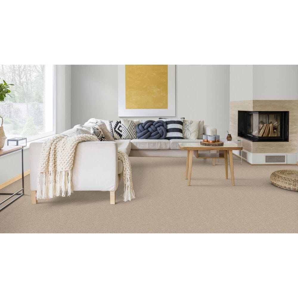 Dixie Home Bella Carpet in Corgi, , large