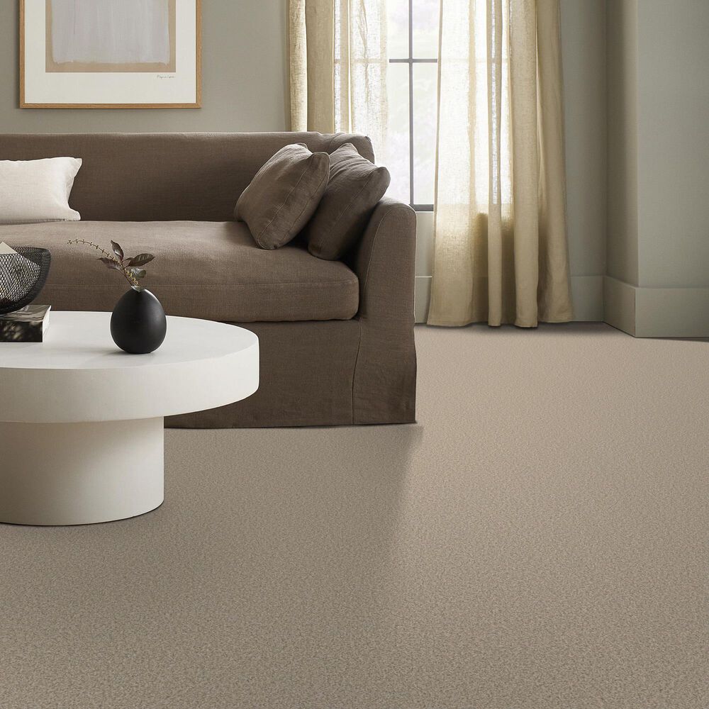 Shaw Tweed Comfort II Carpet in Vacay, , large