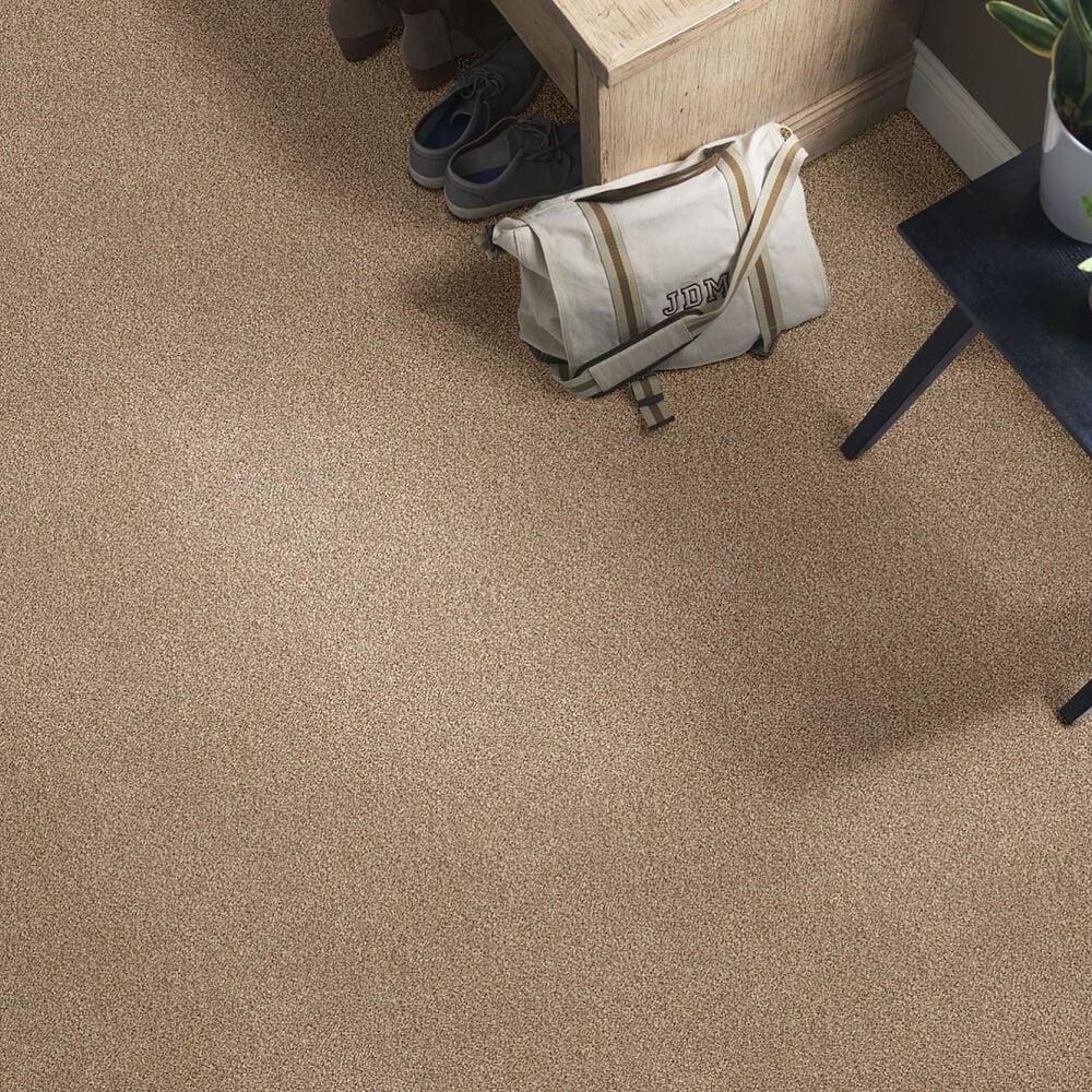 Shaw Find Your Comfort TT I Carpet in Falling Leaves, , large