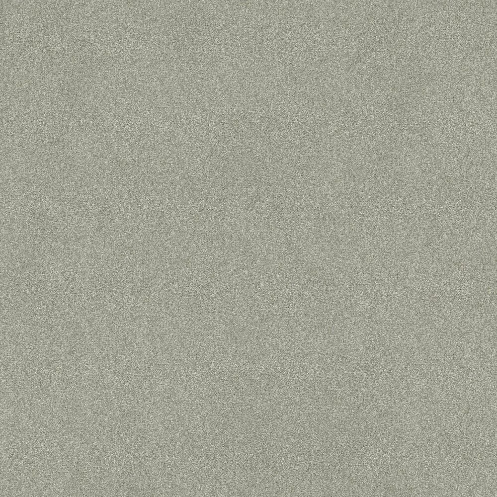 Shaw Tonal Comfort I Carpet in Willow Tree, , large