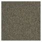 Shaw Multiplicity Carpet in Oodles, , large