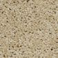 Shaw Keen Senses II Carpet in Golden Rule, , large