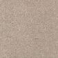 Mohawk Windsor Gardens II Carpet in Overcast, , large