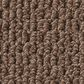 Shaw Perspective Path Carpet in Grounded, , large