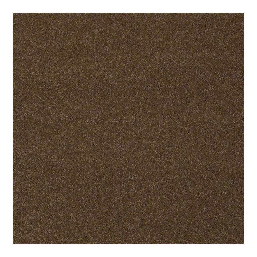 Anderson Tuftex Bear Carpet in Derby Brown, , large