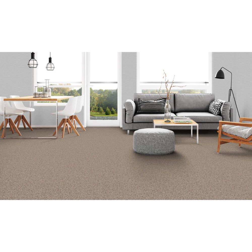 Dixie Home Devotion Carpet in Walnut, , large