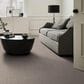 Anderson Tuftex Discover Carpet in Pebble Bath, , large