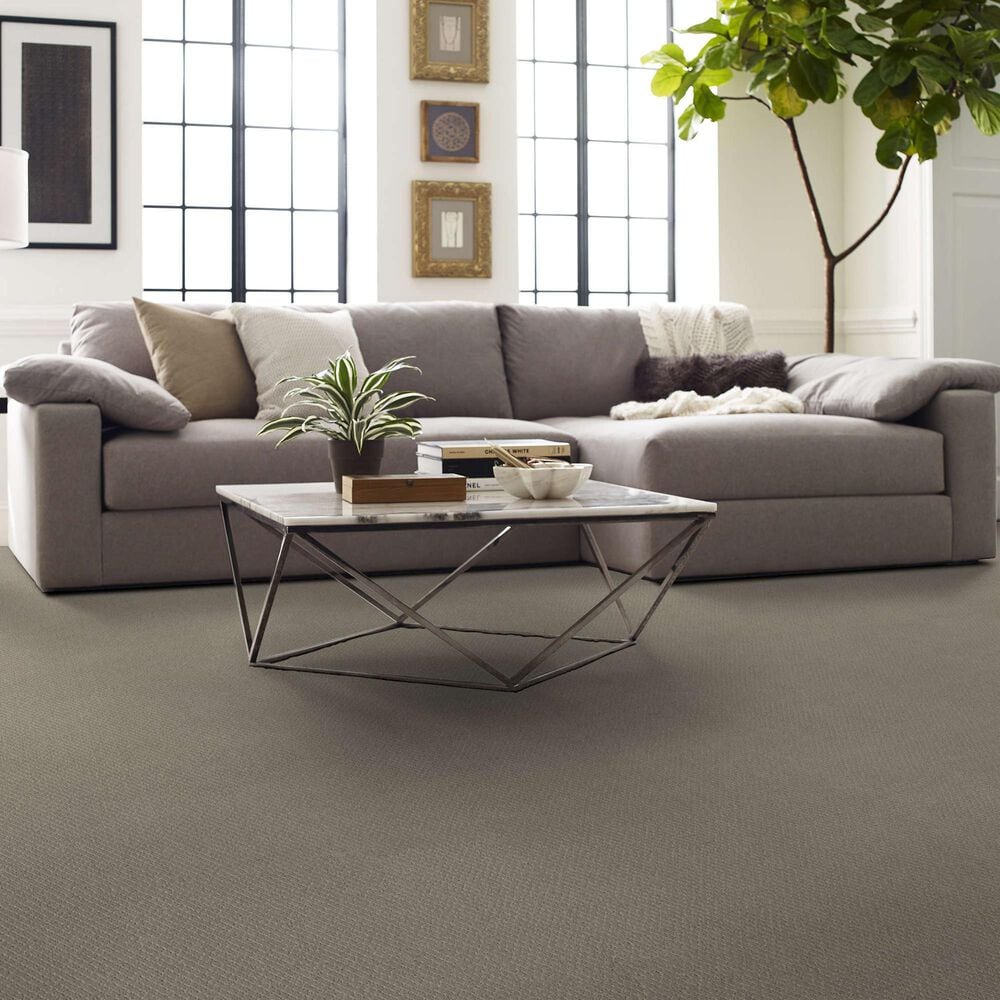 Shaw Simply Classic Carpet in Sculpture, , large