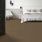 Anderson Tuftex Fabulous Carpet in Nutshell, , large