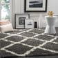 Safavieh Dallas Shag SGD257A-4 4" x 6" Dark Grey/Ivory Area Rug, , large