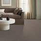 Anderson Tuftex Alluring Carpet in Mohair, , large