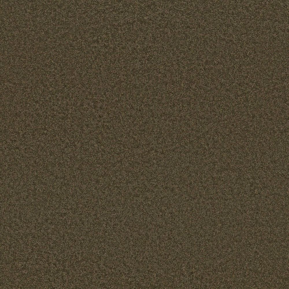 Anderson Tuftex Enchanting Carpet in Dark Olive, , large